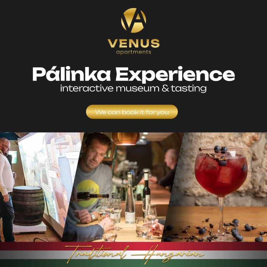 Apartamento Venus - Akacfa Ii